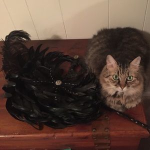 Meet your Posher, Chantel